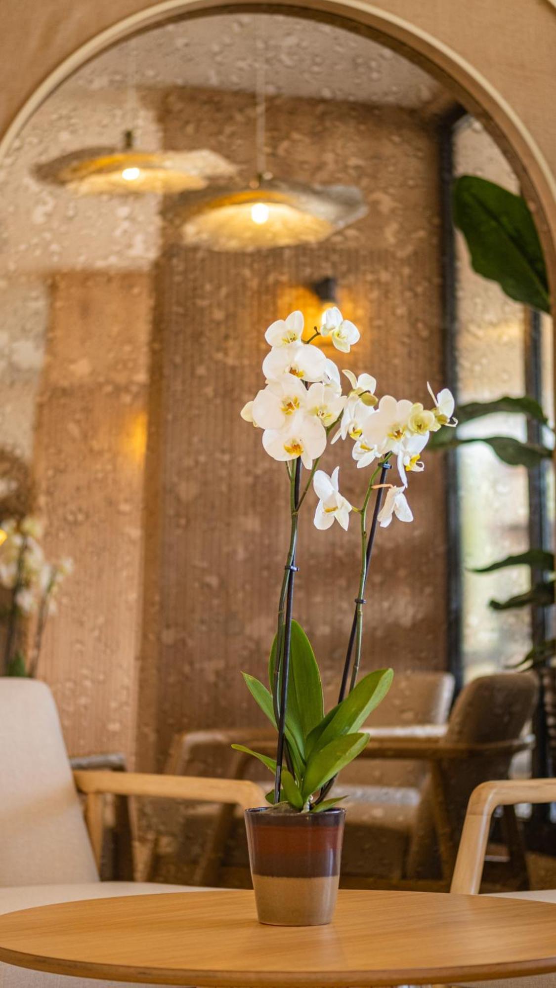 Heritage By Cimen Hotel Alanya Exterior photo